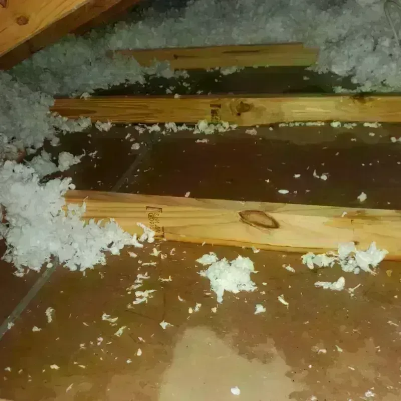 Attic Water Damage in Ponderosa Pine, NM